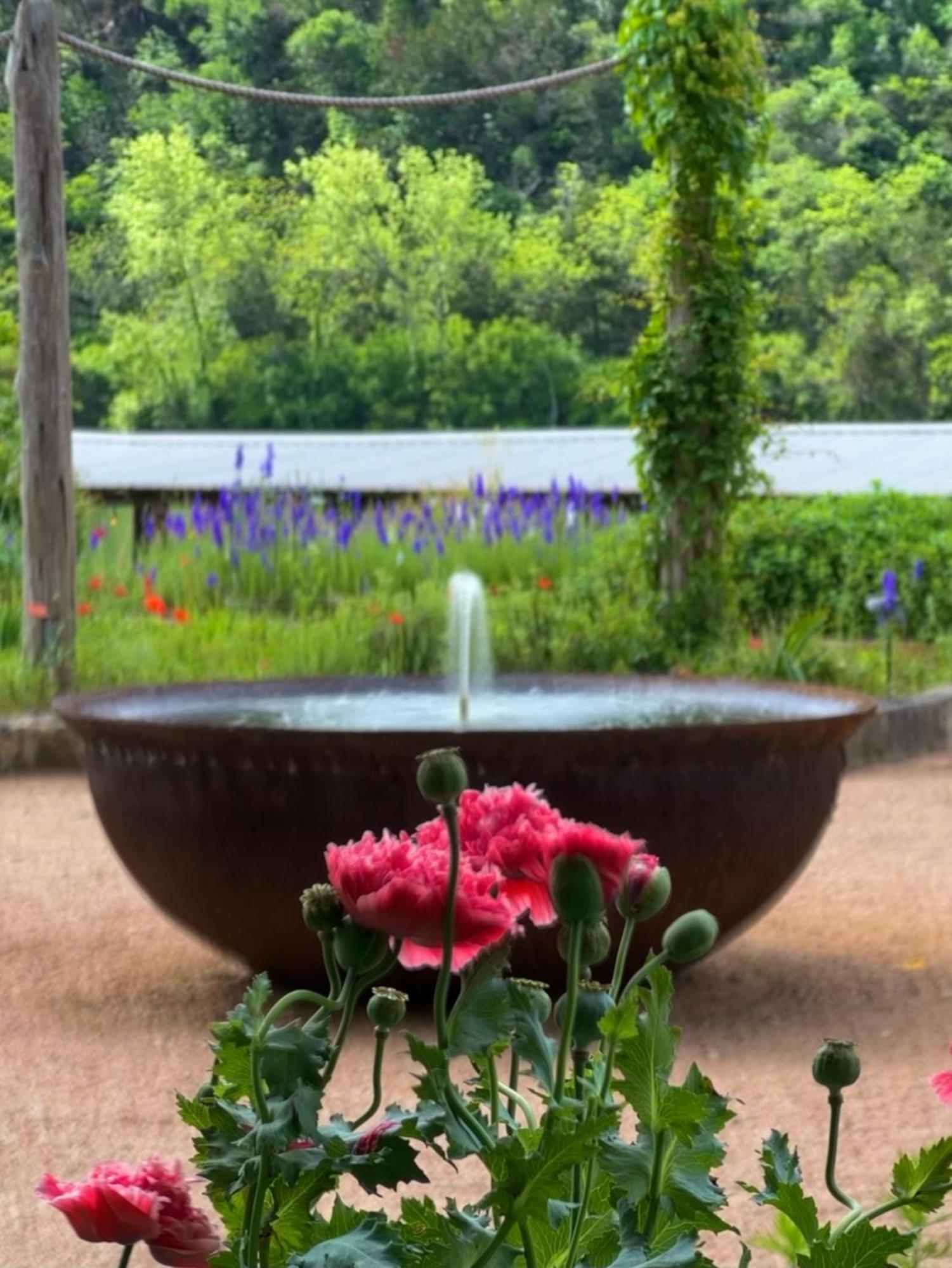 Lake Austin Spa Resort Экстерьер фото
