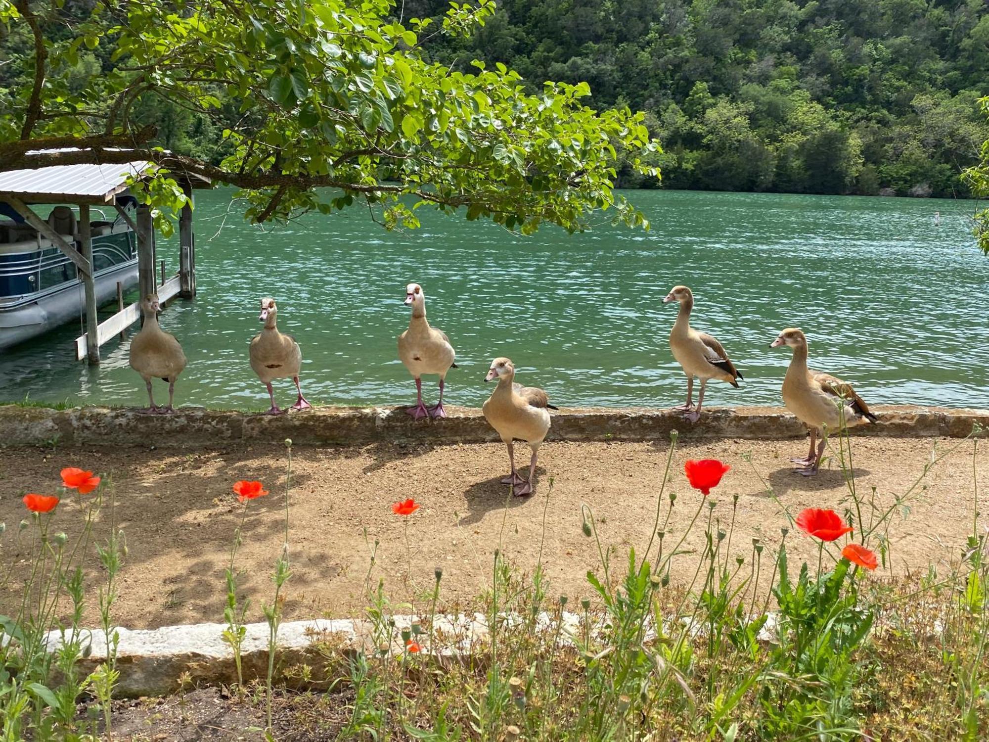 Lake Austin Spa Resort Экстерьер фото